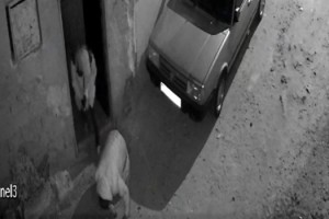 Evine gittiği arkadaşı, tabancayla vurdu; sokakta yere yığıldığı anlar kamerada