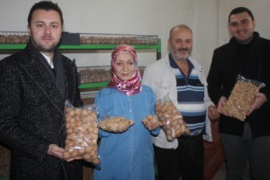 Kadın girişimci, KOSGEB desteğiyle ceviz işleme tesisi kurdu