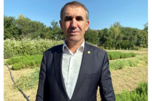 Trakya Birlik Başkanı Kırbiç: Kuraklık ayçiçeğinde verimi düşürdü