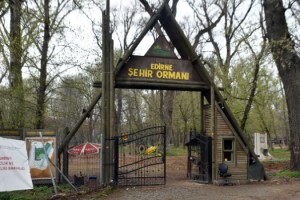 Vali Sezer: Kent Ormanı'nda 2 ay içinde işler tamamlanacak