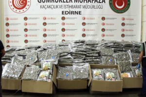 Kapıkule'de TIR'da 370 kilo esrar ele geçirildi