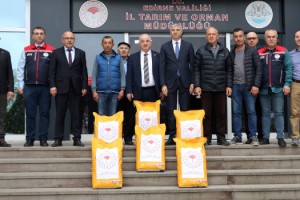 Üreticilere yüzde 75 devlet destekli yerli hibrit ayçiçeği tohumu dağıtıldı