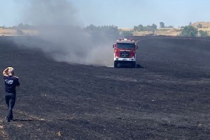 Keşan'da 40 dönüm buğday tarlası yandı