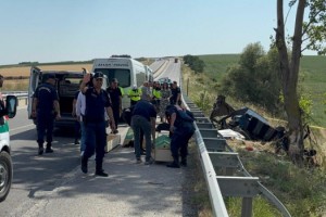 Otomobil, ağaca çarptı; 2'si çocuk 5 ölü, 1 yaralı