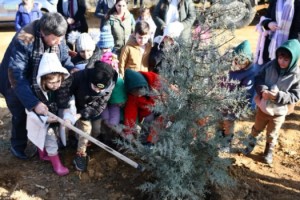 Trafik kazasında hayatını kaybeden avukat anısına hatıra ormanı oluşturuldu