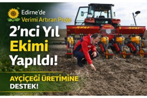 Edirne’de ayçiçeğinde verim artışına yönelik projede 2’nci yıl ekimi yapıldı