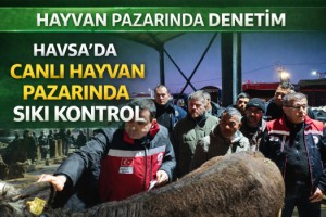 Havsa canlı hayvan pazarında denetim