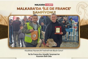 Malkara Küçükbaş Hayvancılık Festivalinde “İle De France” Şampiyonu Belli Oldu