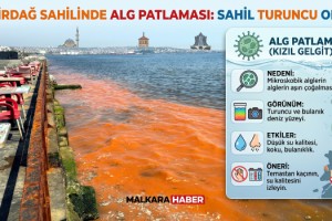 Tekirdağ sahilinde alg patlaması nedeniyle deniz turuncu renge büründü