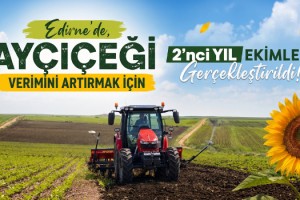 Edirne’de, ayçiçeği verimini arttırmak için 2’nci yıl ekimleri gerçekleştirildi
