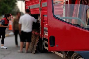 Kırklareli'ye kaçak hayvan getiren kişiye 175 bin lira ceza