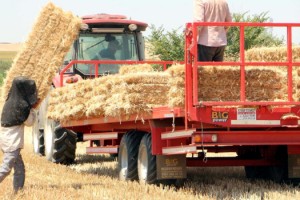 Tekirdağ'da balya bağlama ile açık alanda ateş yakılması yasaklandı