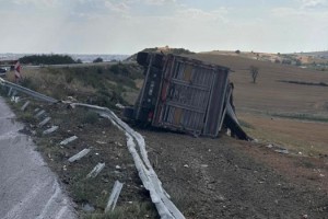 Devrilen buğday yüklü kamyonun şoförü yaralandı