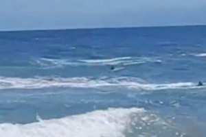 Tekirdağ’da denizde boğulma tehlikesi geçiren 4 arkadaşı çevredekiler kurtardı