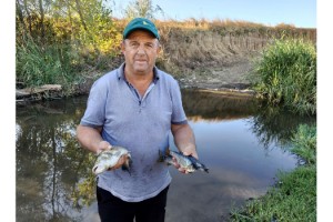 Tekirdağ'da derede toplu balık ölümlerine inceleme