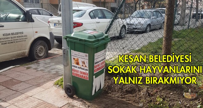 Sokak Hayvanları İçin Bayat Ekmek Kumbaraları