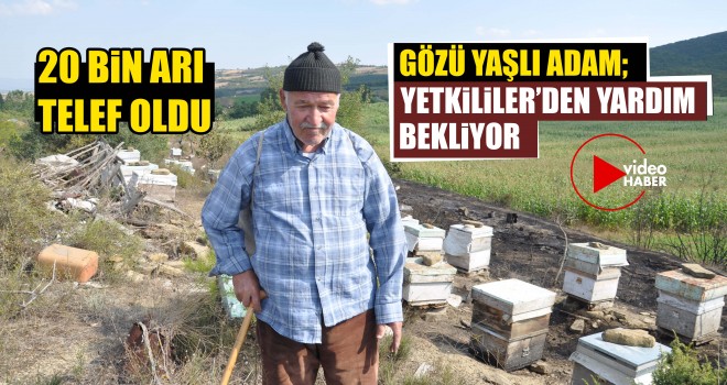 Malkara’da Yangın. 20 Bin Arı Telef Oldu.
