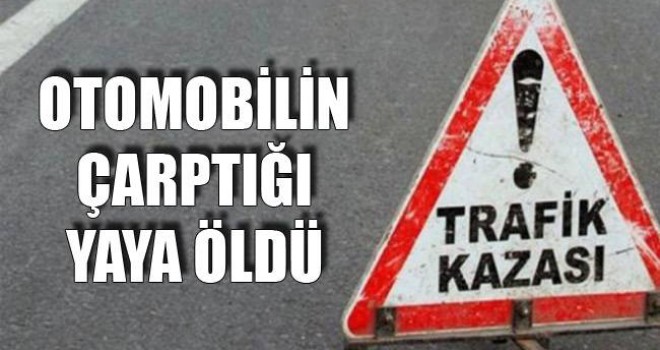 Ceviz Toplamak ’tan Gelirken Canın’dan Oldu