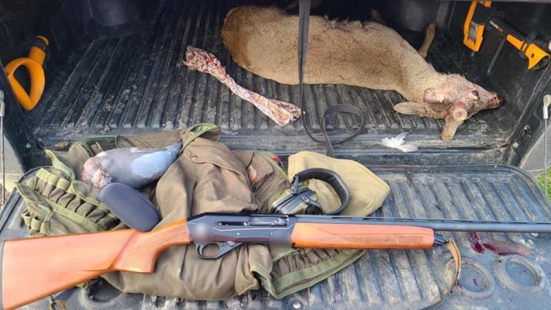 Koruma altındaki karaca ve tahtalı güvercin avına 9 bin TL ceza