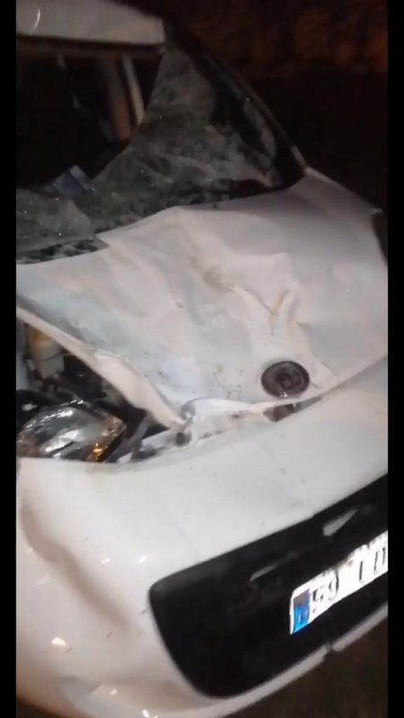 Malkara'da otomobil inek sürüsüne çarptı, sürücü ve 2 inek yaralandı 