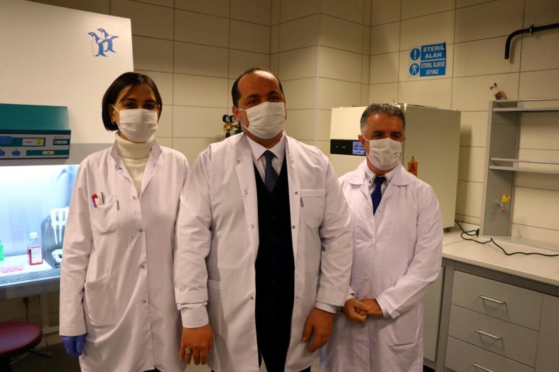 Türk arılarının gen haritası çıkarılıyor