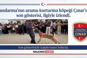 Jandarmanın arama-kurtarma köpeği Çınar’ın son gösterisi, ilgiyle izlendi